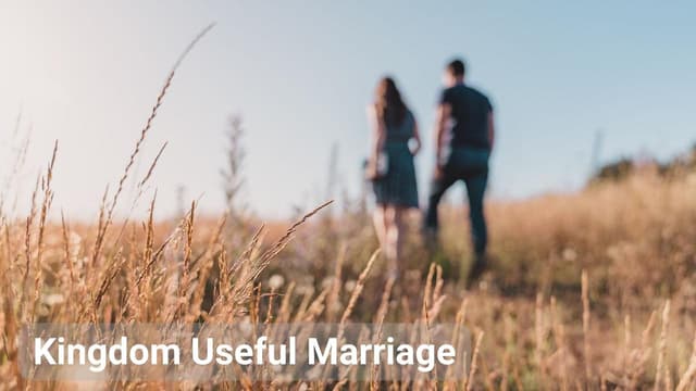 Kingdom Useful Marriage #8